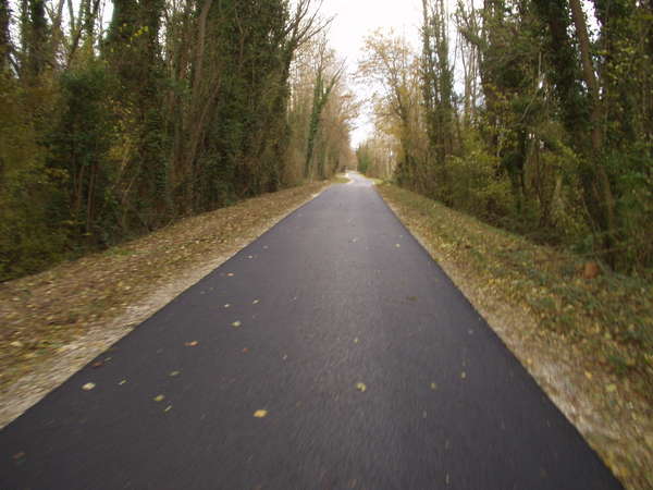 fichier 20061116_1451_001pc_route-0.jpg