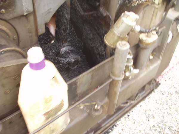 fichier 20061116_1505_002pc_route_depose_goudron_details-0.jpg