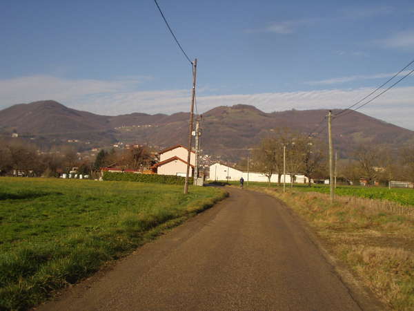 fichier 20070120_1032_001cv_les_massons_route-0.jpg