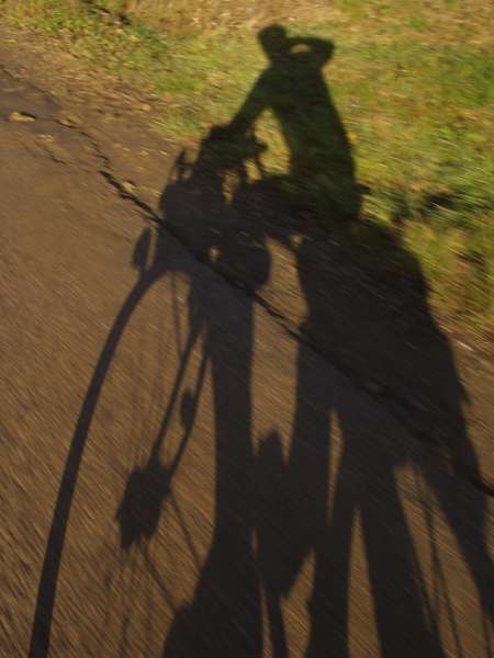 fichier 20070120_1032_002cv_les_massons_route_ombre_jpb-0.jpg