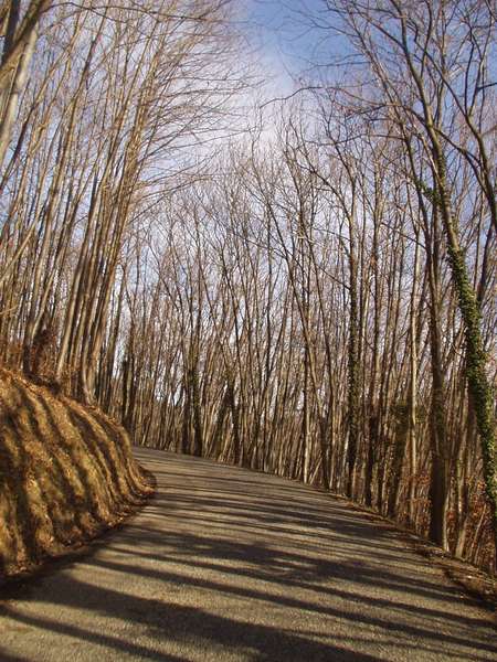 fichier 20070120_1123_002d154_route-0.jpg