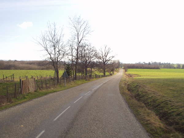 fichier 20070120_1332_d156_route-0.jpg