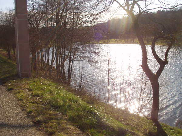 fichier 20070120_1351_002d20_route_etang_droite-0.jpg