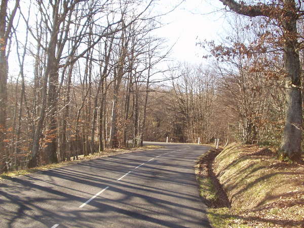 fichier 20070120_1401_001d20b_route-0.jpg