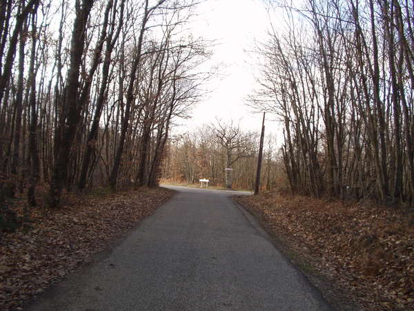 fichier 20070120_1451_001d513_route-0.jpg