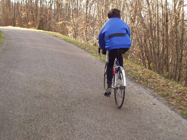 fichier 20070120_1454_d513_route_cyclote-0.jpg