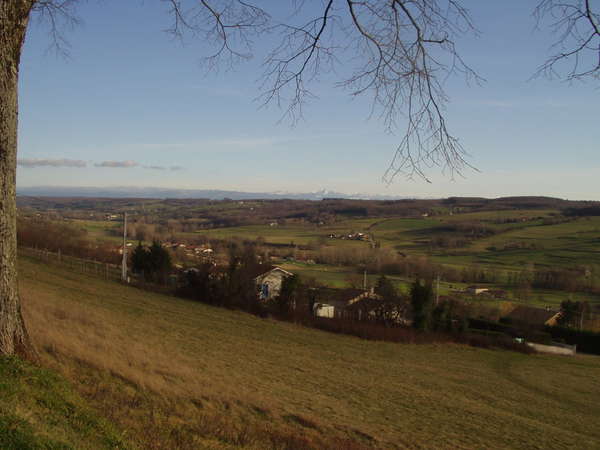 fichier 20070120_1540_002d66_route_paysage-0.jpg