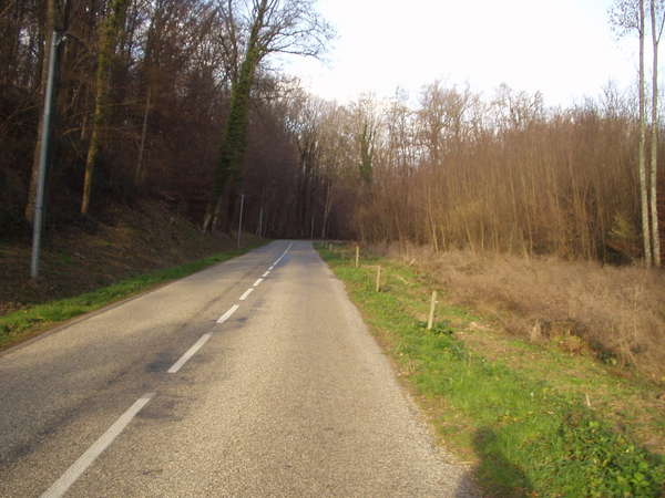 fichier 20070120_1549_d66_route-0.jpg