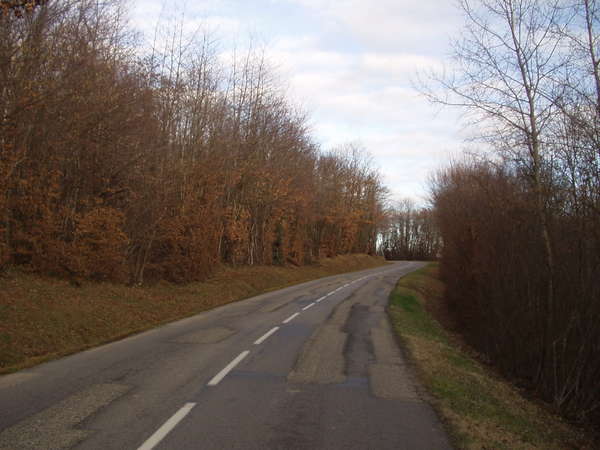 fichier 20070120_1558_d157_route-0.jpg