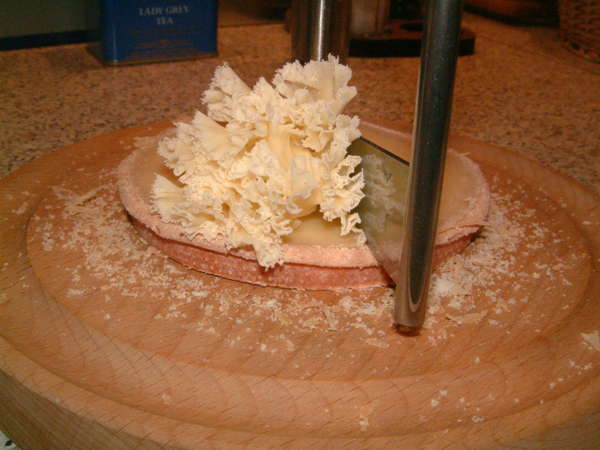 fichier 20070121_1916_001belle_girolle_apres_cinq_tours-0.jpg