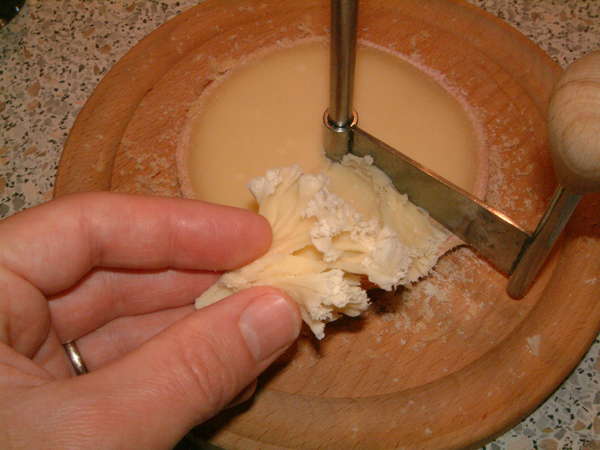 fichier 20070121_1916_004retirer_la_girolle-0.jpg