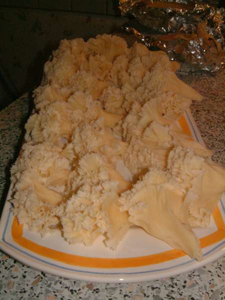 fichier 20070121_1934_001plat_de_service_complet-0.jpg