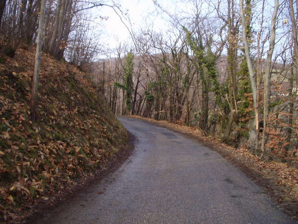 fichier 20070211_1317_001cv_route_arons-0.jpg