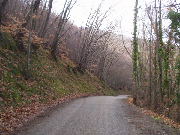 fichier 20070211_1317_002cv_route_arons-0.jpg