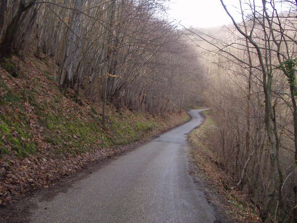 fichier 20070211_1318_cv_route_arons-0.jpg