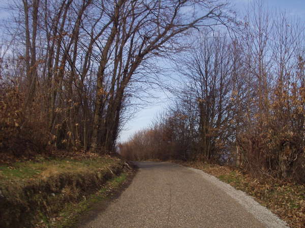 fichier 20070211_1326_002cv_route_arons-0.jpg