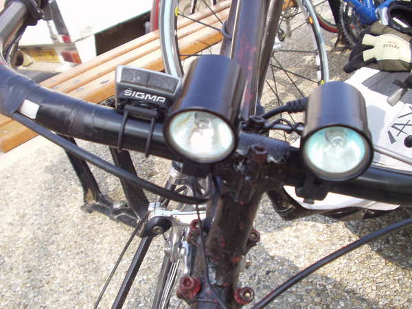 fichier 20070317_1032_001thodure_controle_vipere_noire_eclairage-0.jpg