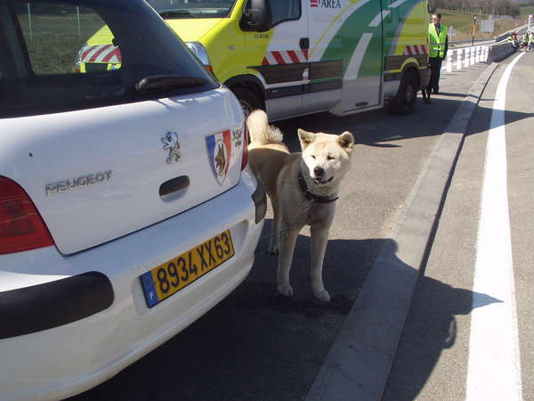 fichier 20070318_1315_a51_route_col_du_fau_seurite-0.jpg