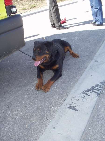 fichier 20070318_1316_a51_route_col_du_fau_seurite-0.jpg