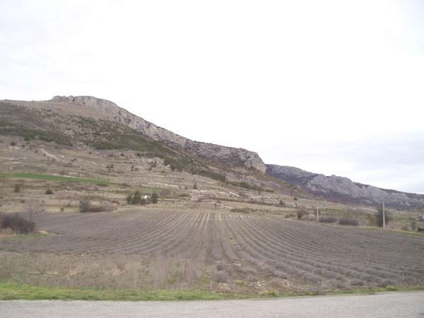 fichier 20070331_1629_d546_route_apercu_futur_champs_de_lavande-0.jpg