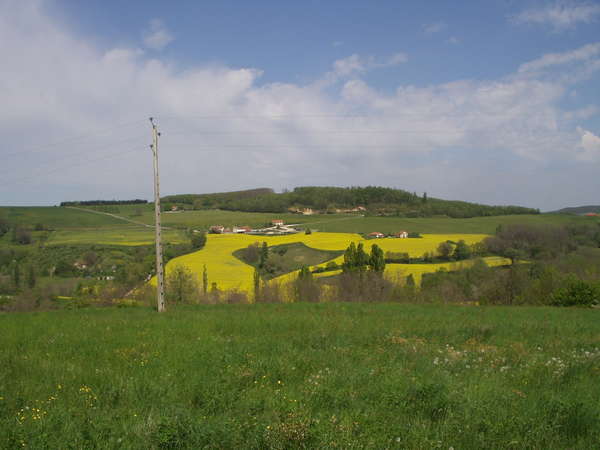 fichier 20070421_1459_002d538_route_paysage-0.jpg