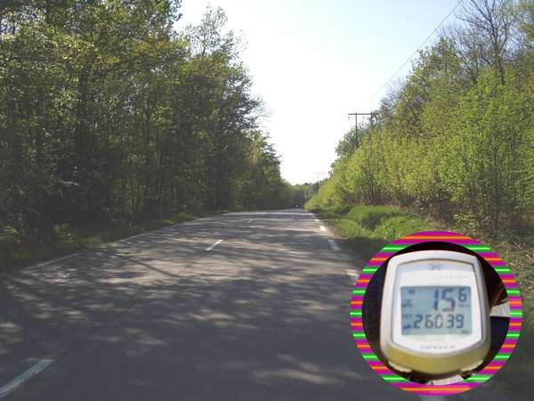 fichier 20070421_1709_001d538_route_fin_montee_apres_cour_et_buis1-0.jpg