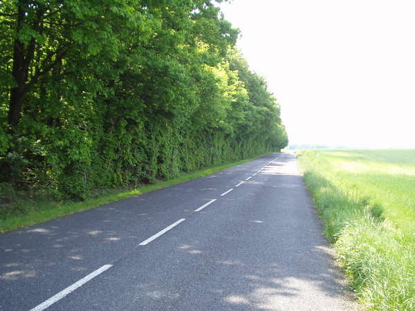 fichier 20070429_1255_002d60_route-0.jpg