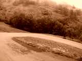 fichier 20070722_0728_001d80_route_virage_derriere-0.jpg
