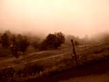 fichier 20070722_0728_003d80_route_cyclos_contrebas-0.jpg