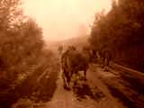fichier 20070722_0747_002d80_route_albiez_le_jeune_troupeau_vaches_biquettes-0.jpg