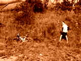 fichier 20070722_1008_001d902_route_pause_technique-0.jpg