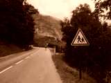 fichier 20070722_1016_001d902_route-0.jpg