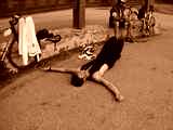 fichier 20070722_1126_002d902_route_col_du_telegraphe_cyclo_fatigue-0.jpg