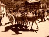 fichier 20070722_1142_002d902_route_valloire_anes-0.jpg