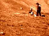 fichier 20070722_1321_003d902_route_spectateurs-0.jpg