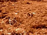fichier 20070722_1329_002d902_route_cyclo_dodo-0.jpg