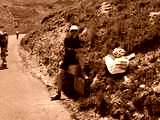 fichier 20070722_1413_001d902_route_cyclo_arrete-0.jpg