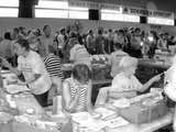 fichier 20070819_1551_guyancourt_organisation-0.jpg