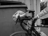 fichier 20070820_1319_001saint_cyr_lecole_2969_francois_pulicari-0.jpg
