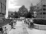 fichier 20070820_1906_001guyancourt_les_quadrans_queue-0.jpg