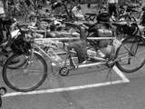 fichier 20070822_1511_005brest_657k_controle_dehors_7467_elaine_jameson_7468_don_jameson_rusa-0.jpg