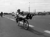 fichier 20070822_1535_001route_landerneau_rowing_bike_7381_bartel_lamers-0.jpg