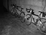 fichier 20070823_0236_002loudeac_819k_velo_4837_daniel_aaron_rusa-0.jpg