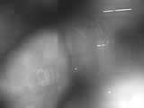 fichier 20070823_0910_001illifaut_controle_secret_857k-0.jpg
