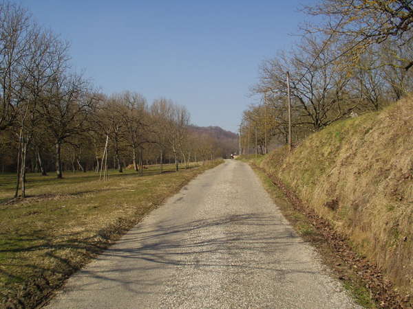 fichier 20080210_1315_002cv_route_chemin_de_toutes_aures-0.jpg