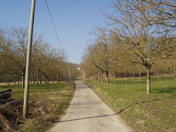 fichier 20080210_1319_002cv_route_chemin_de_toutes_aures-0.jpg