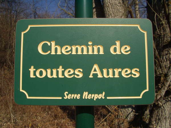 fichier 20080210_1321_cv_route_chemin_de_toutes_aures_panneau_carrefour-0.jpg