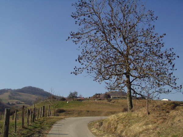 fichier 20080210_1323_002cv_route_chemin_de_toutes_aures-0.jpg