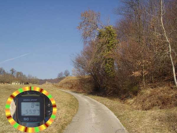 fichier 20080210_1325_001cv_route_chemin_de_toutes_aures_km02_535m1-0.jpg