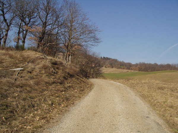 fichier 20080210_1327_001cv_route_chemin_de_toutes_aures-0.jpg